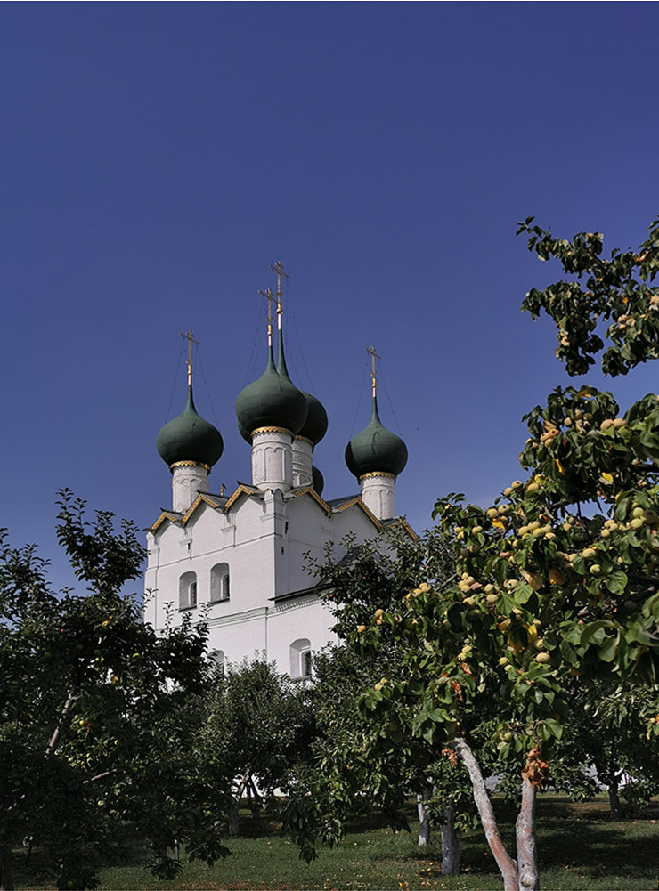 Научные сотрудники кремля восстановили сад, опираясь на архивы. Здесь растут те же виды деревьев, что в 17 веке