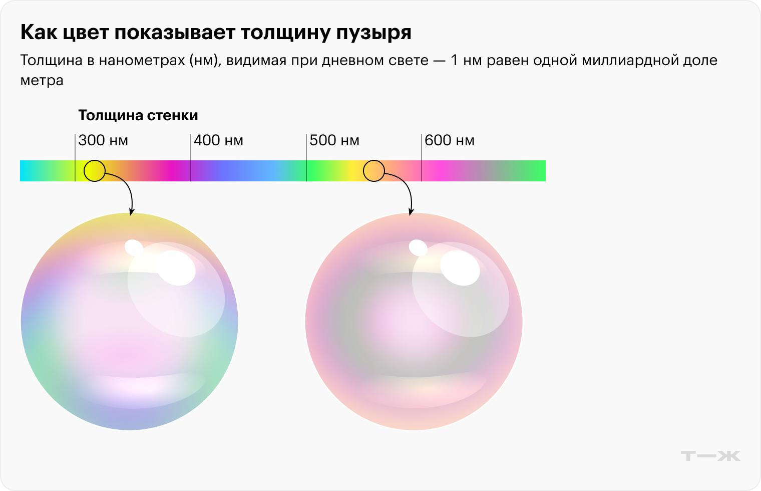 Цветовая шкала, по которой можно определить толщину стенки пузыря при обычном дневном свете