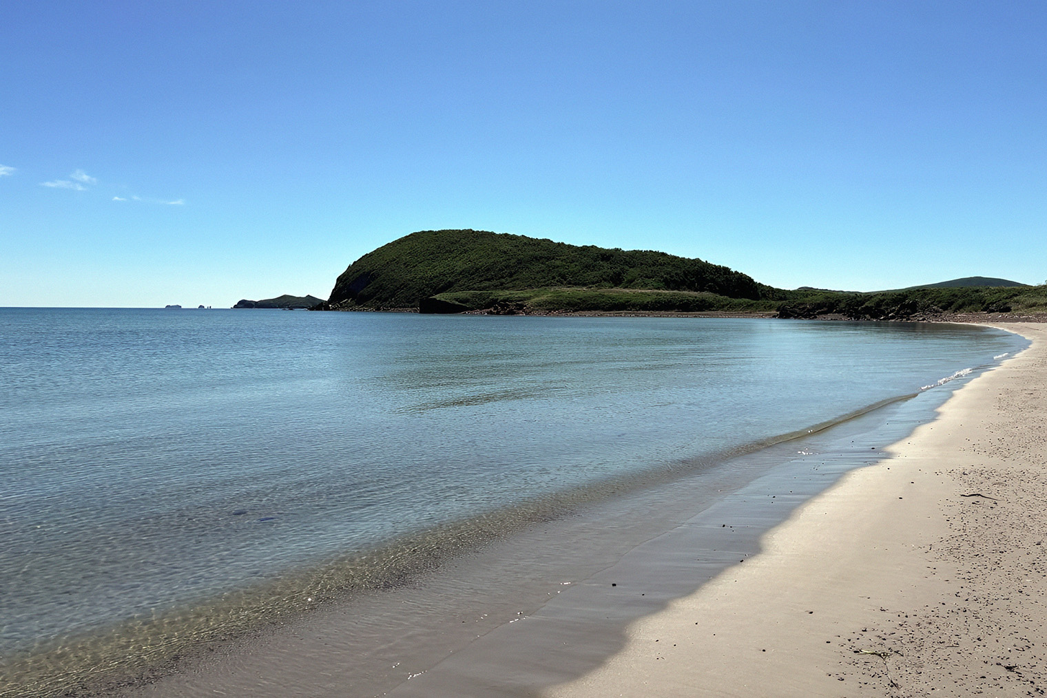 Волонтерство подойдет тем, кто хочет побывать в дикой природе. © Сообщество в vk.com
