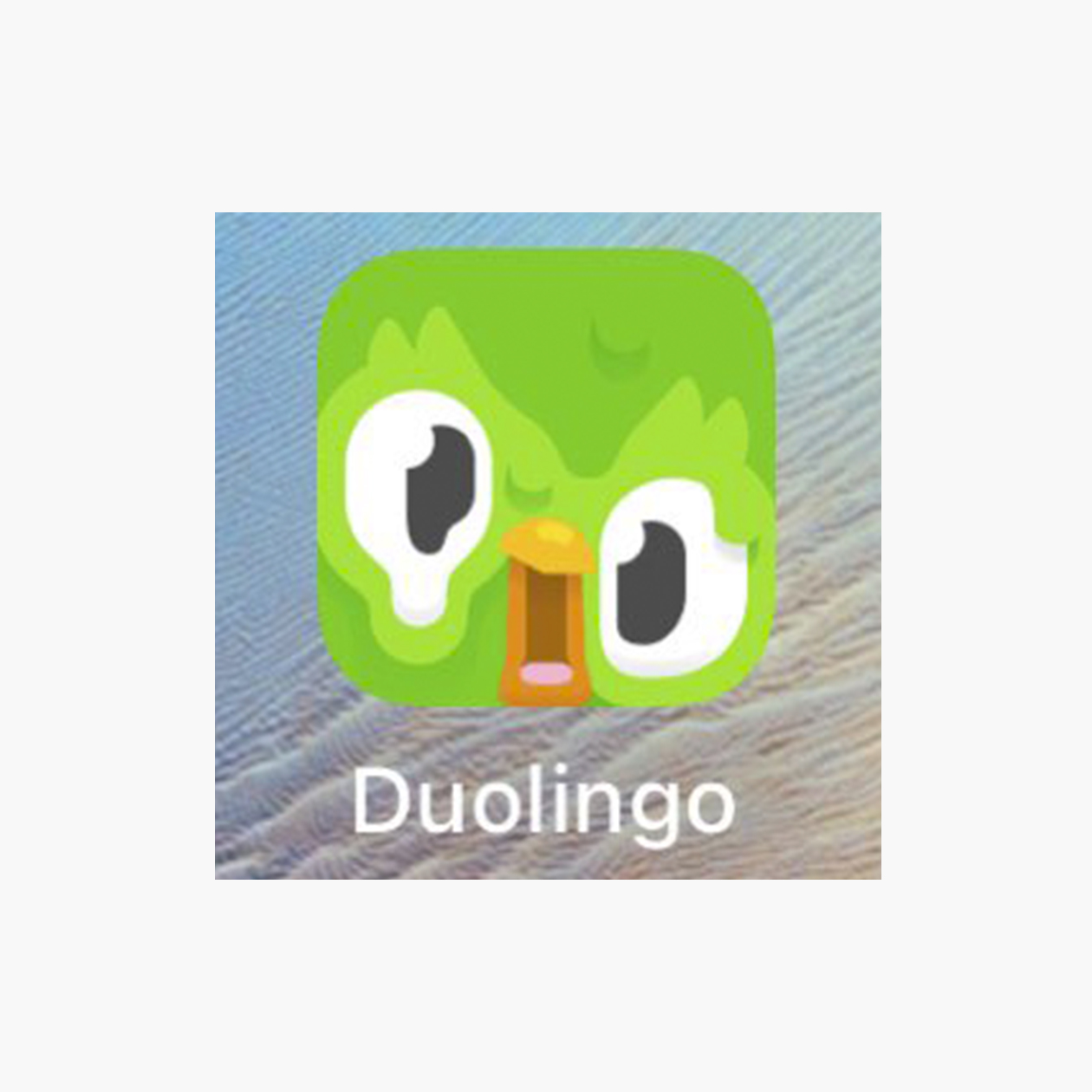 Недавние иконки приложения «Дуолинго»