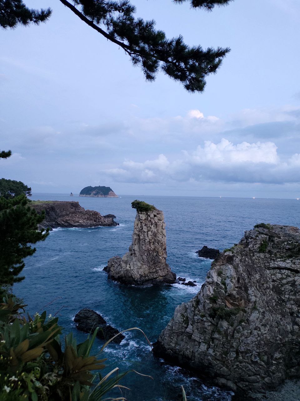 Фотографии года