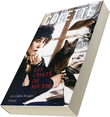 Лейбл заголовка