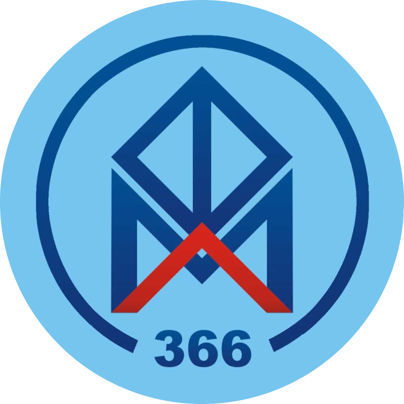 Физико-математический лицей № 366