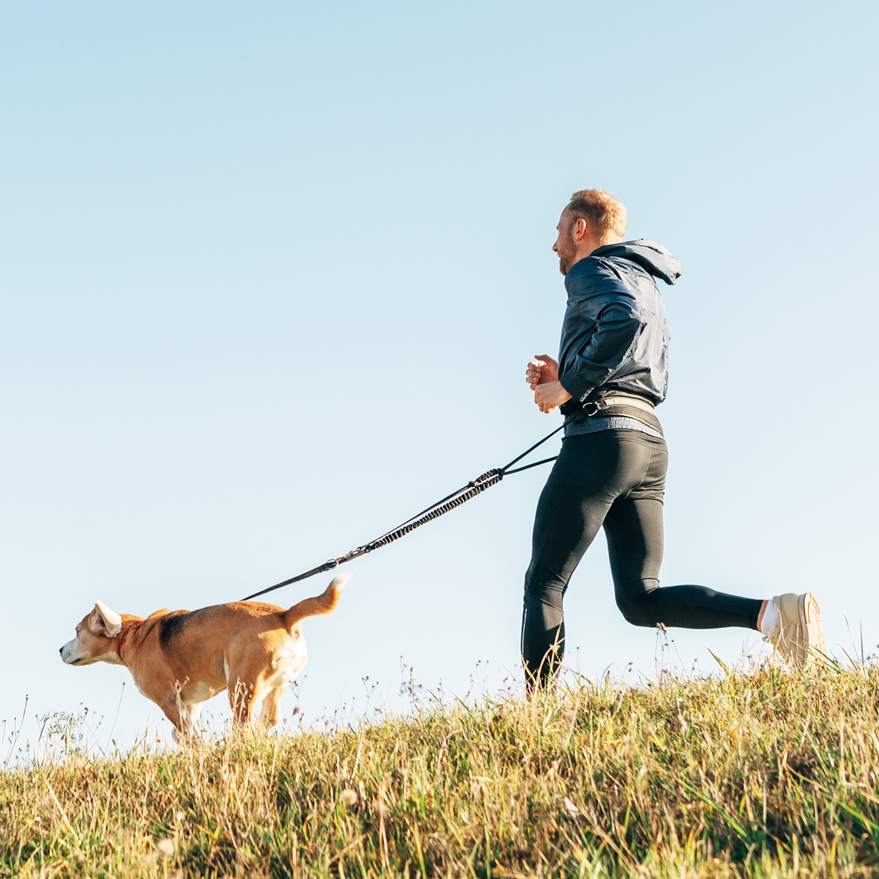 Это отличная модель, если вы любите пробежки с собакой. Фотография: Soloviova Liudmyla / Shutterstock / FOTODOM