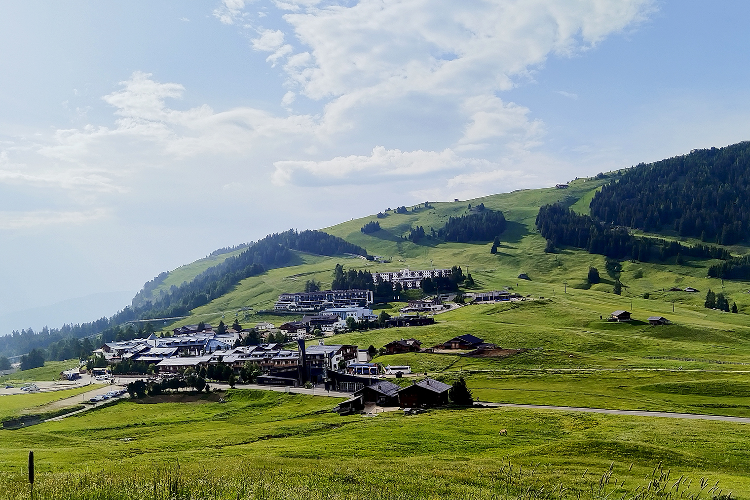 На этом фото запечатлен весь Компатч