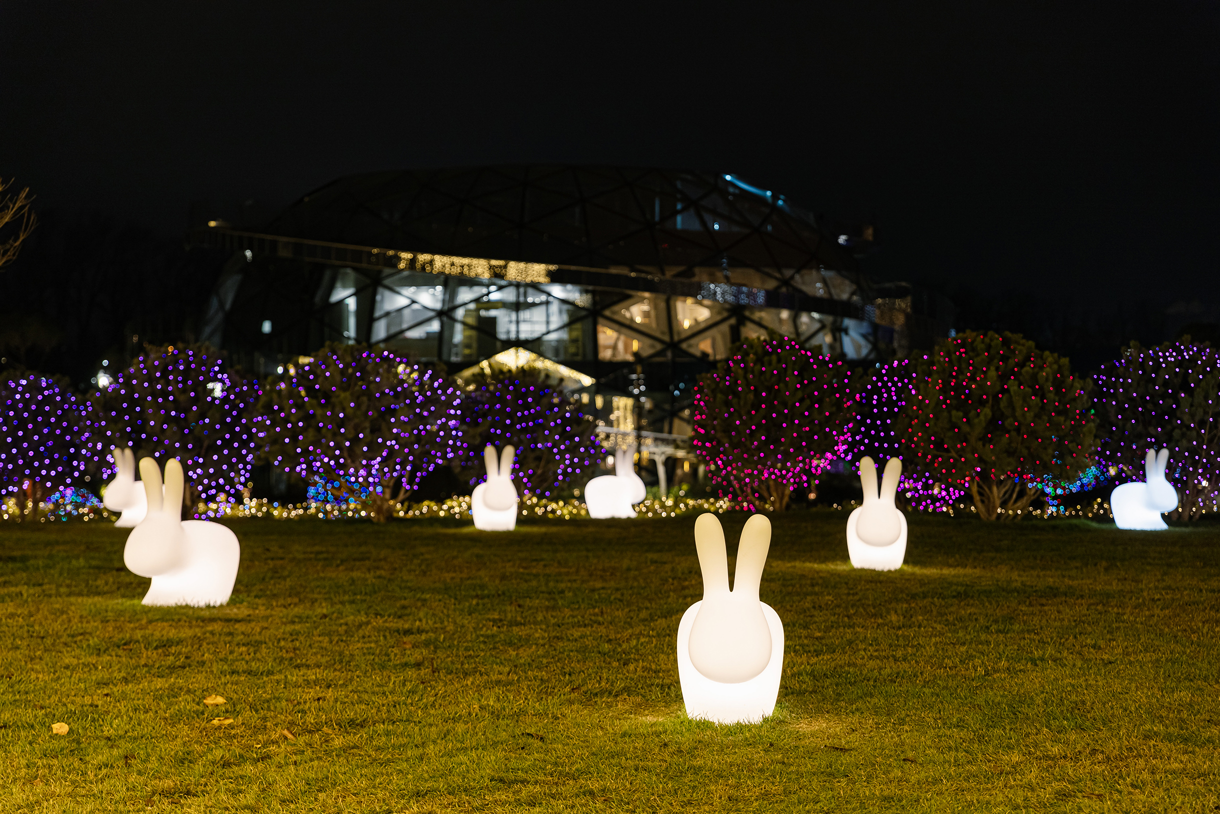 На одной из полян парка поселились светящиеся кролики