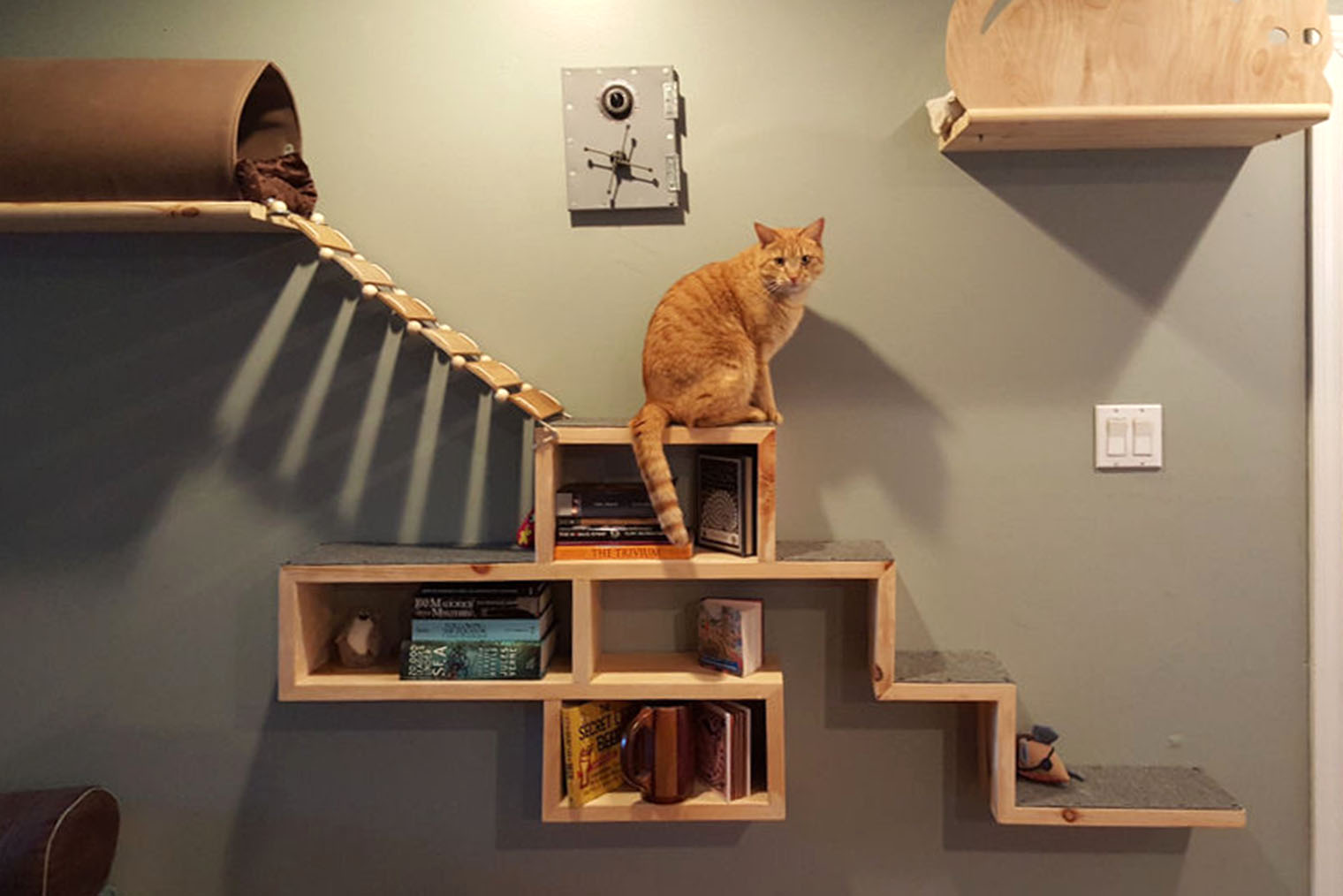 Полки для книг и сувенров можно доработать для игр животного. Источник: masterclub.online