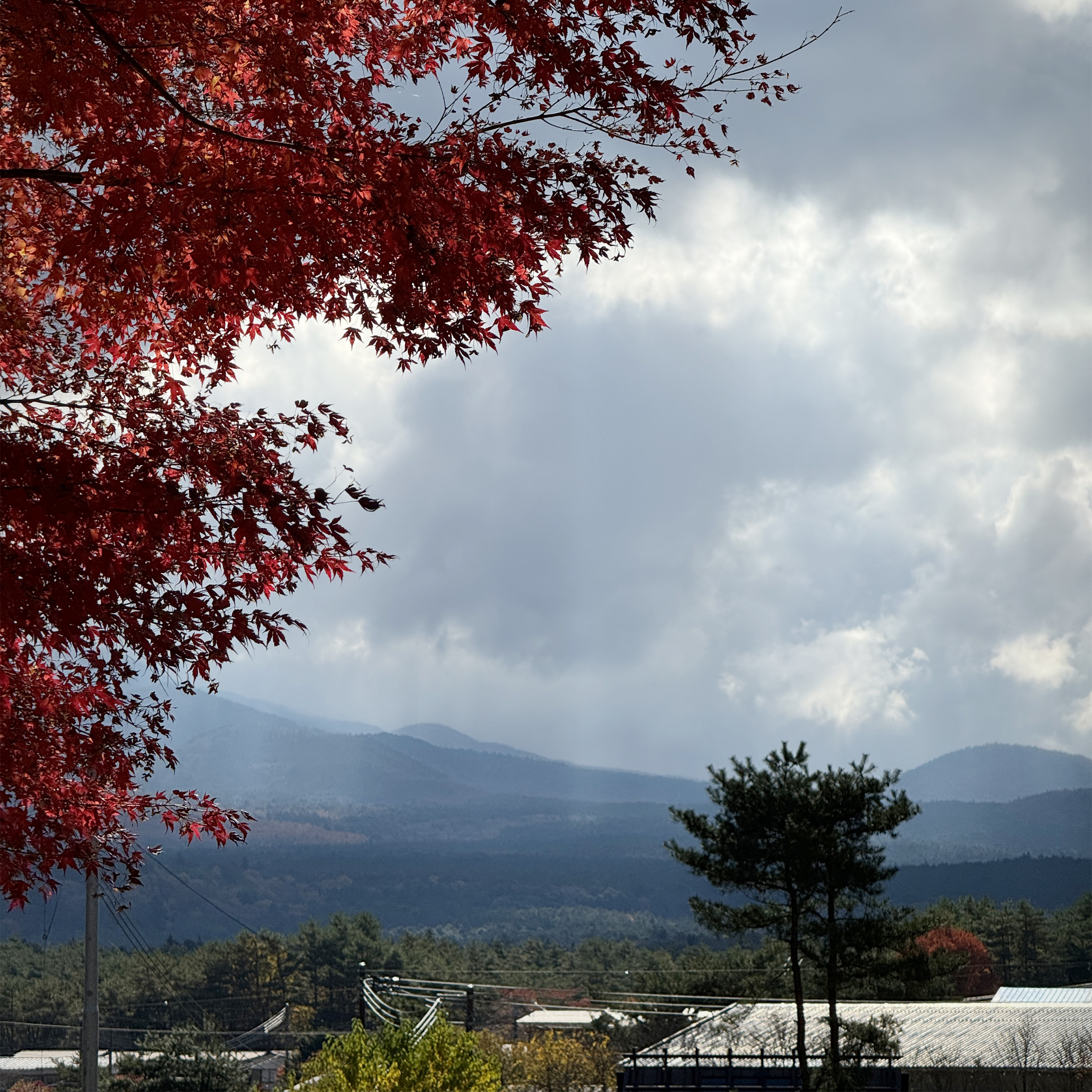 На Фудзи добирались с остановкой в небольшой туристической деревне, обустроенной в традиционном стиле. Сама деревня не впечатлила, а вот красные клены и свет, который пробивался полосками через облака, — да