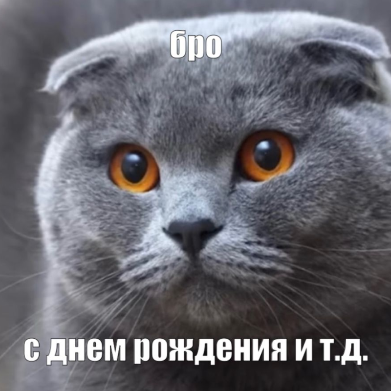 Бро