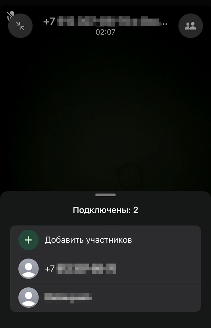 Все пользователи звонка отобразятся списком
