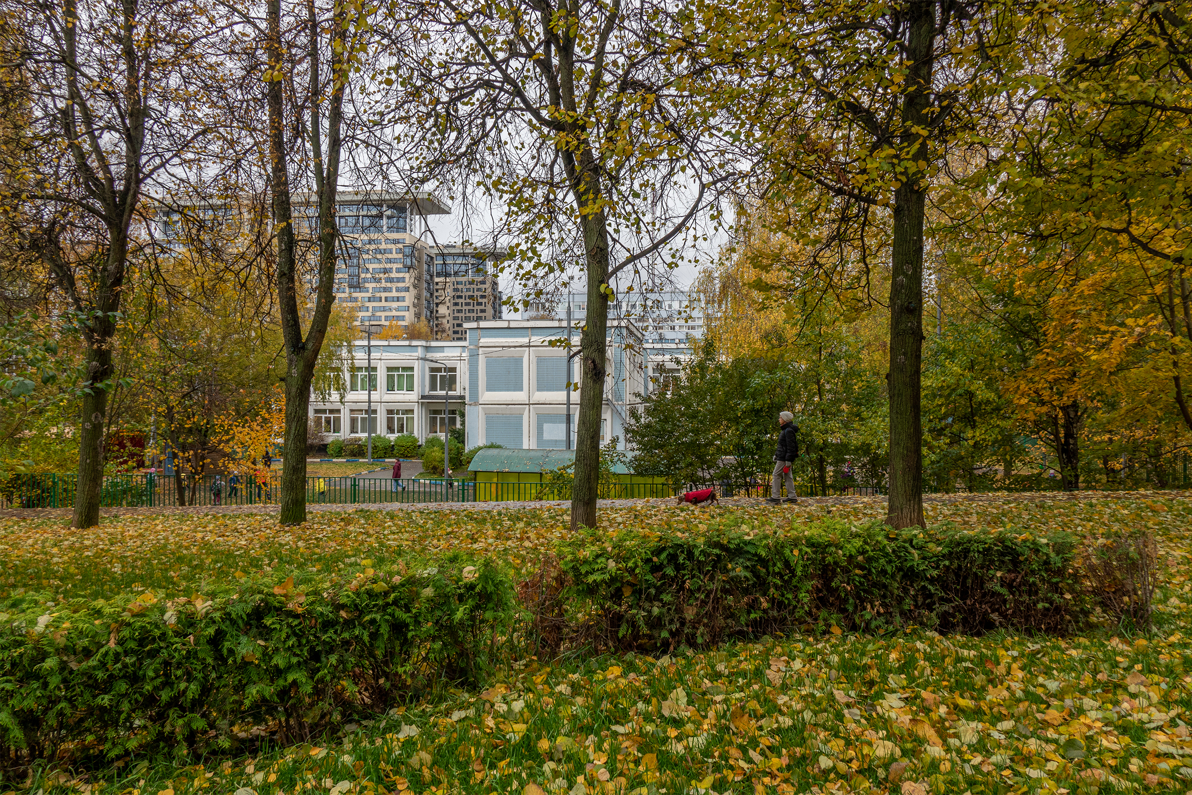 Чуть ли не в каждом дворе — школа или детский сад