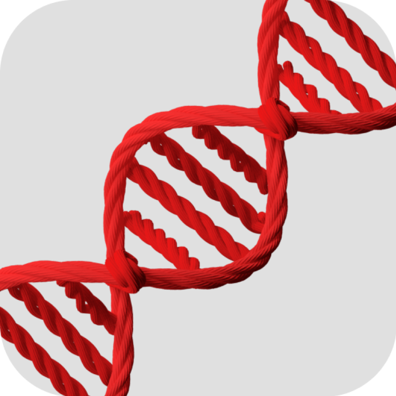 Курс по генеалогии