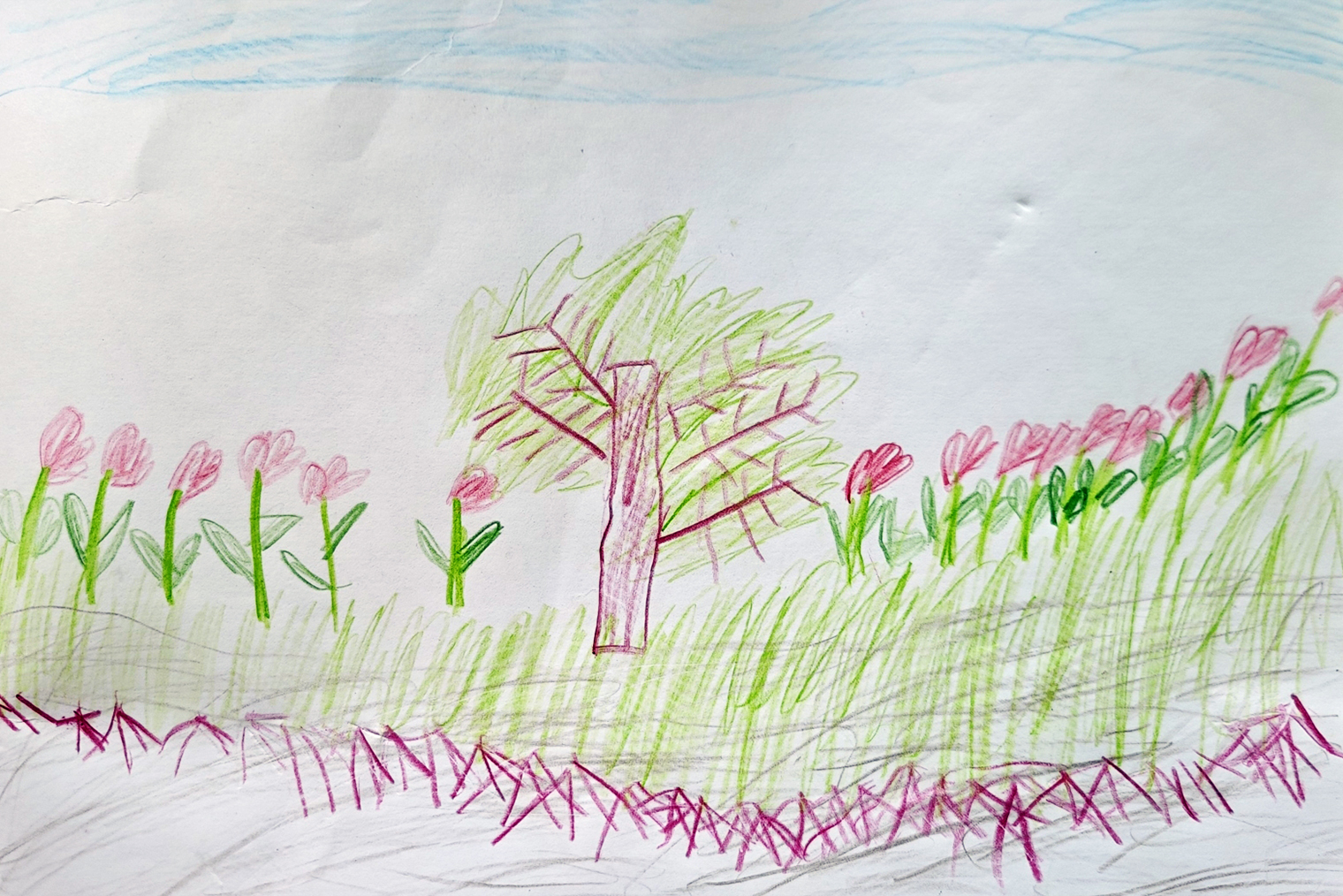 Одно из художеств детей