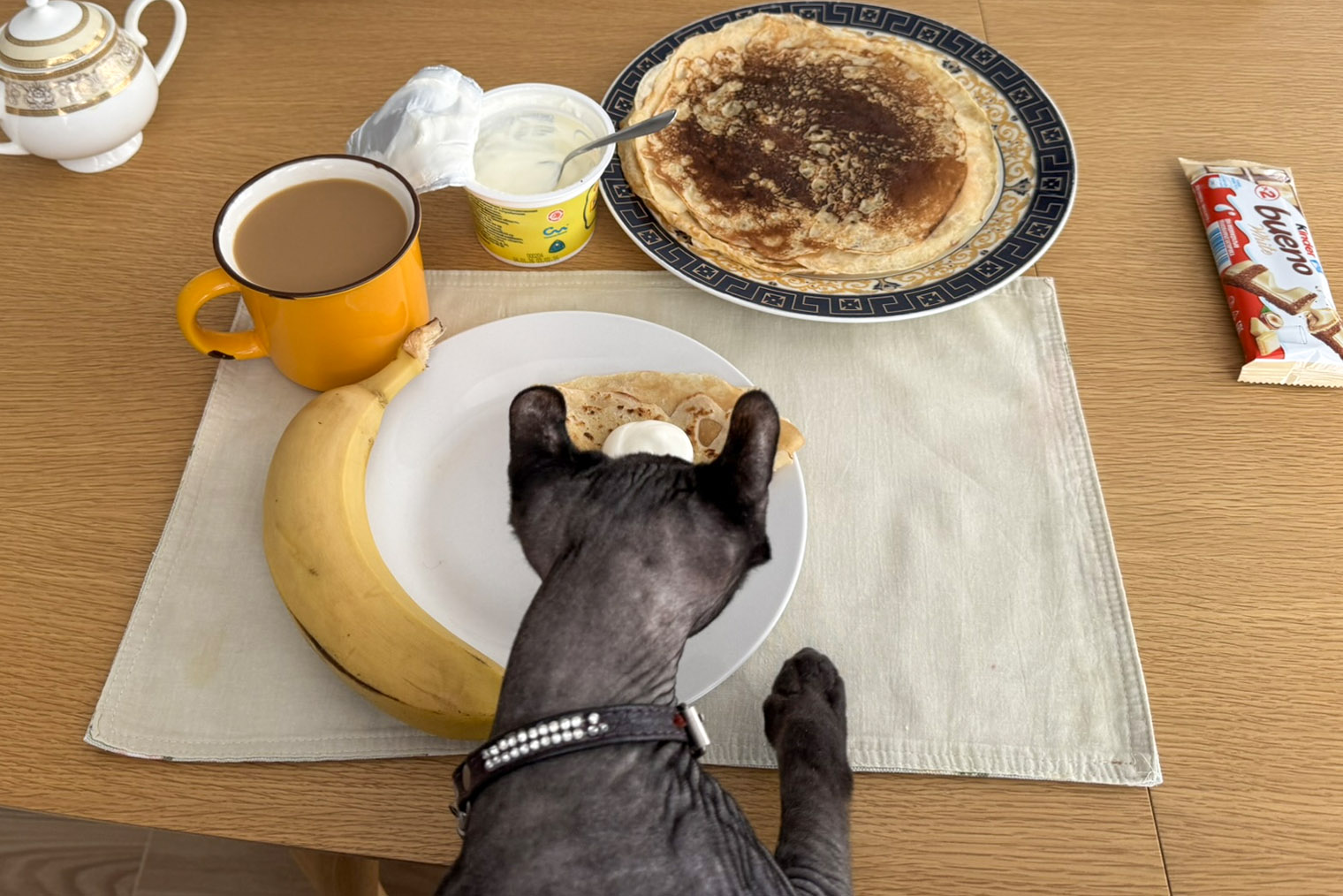 Завтрак не обходится без кота
