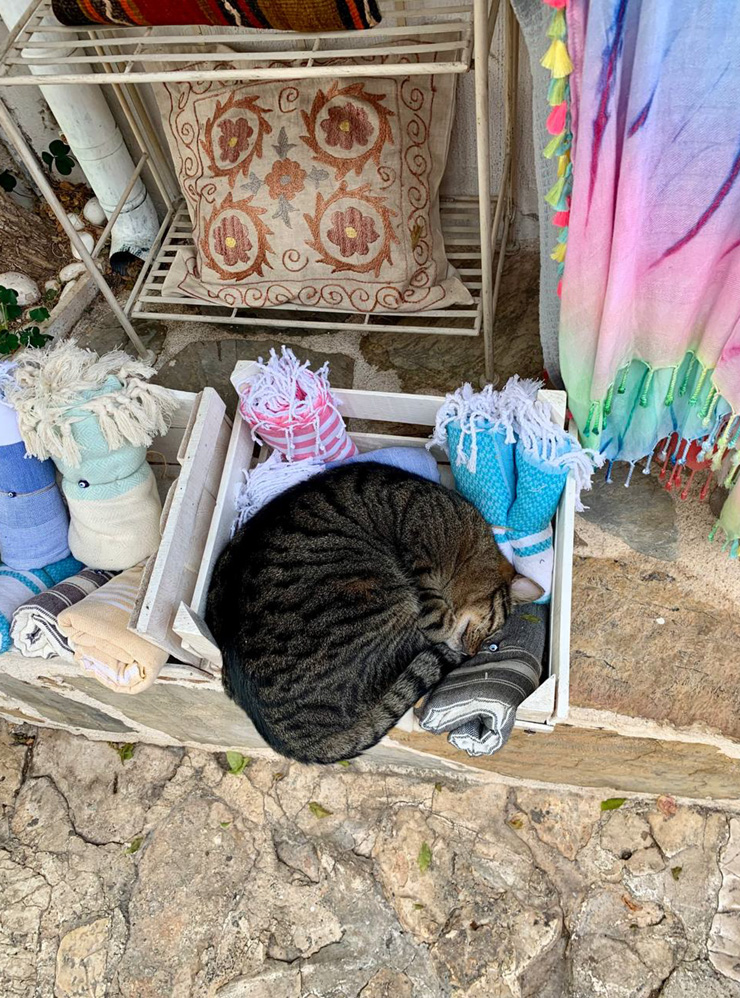 Кот спит на пештемале — традиционном турецком полотенце из хлопка или льна
