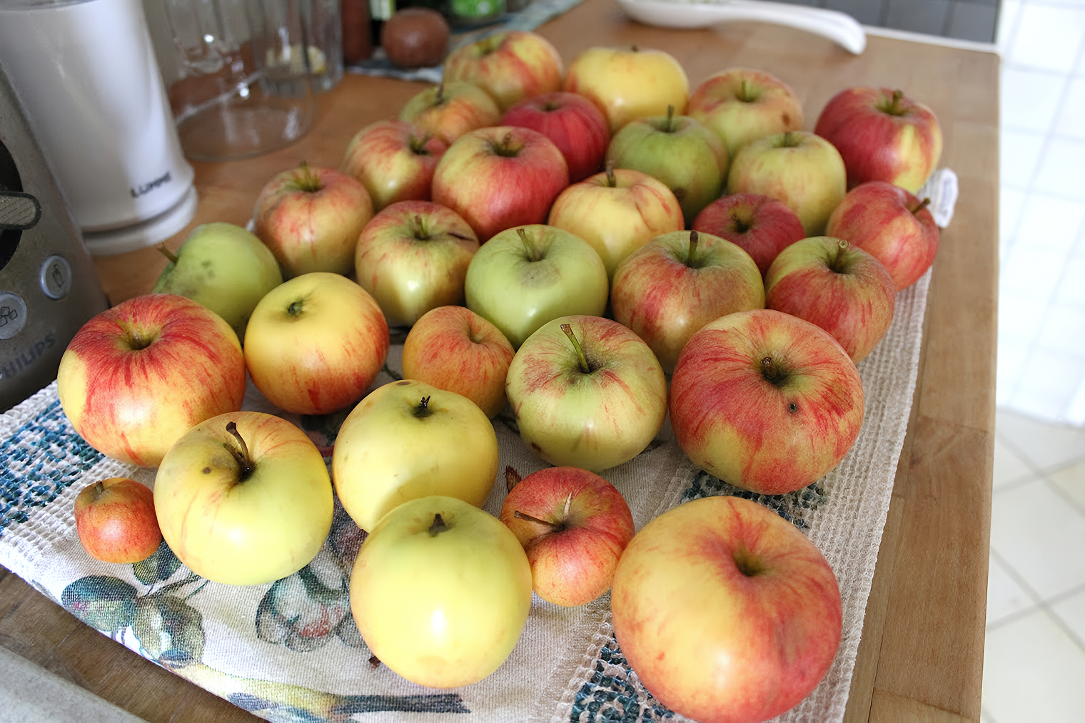 Яблоки из хозяйского сада — бесплатно