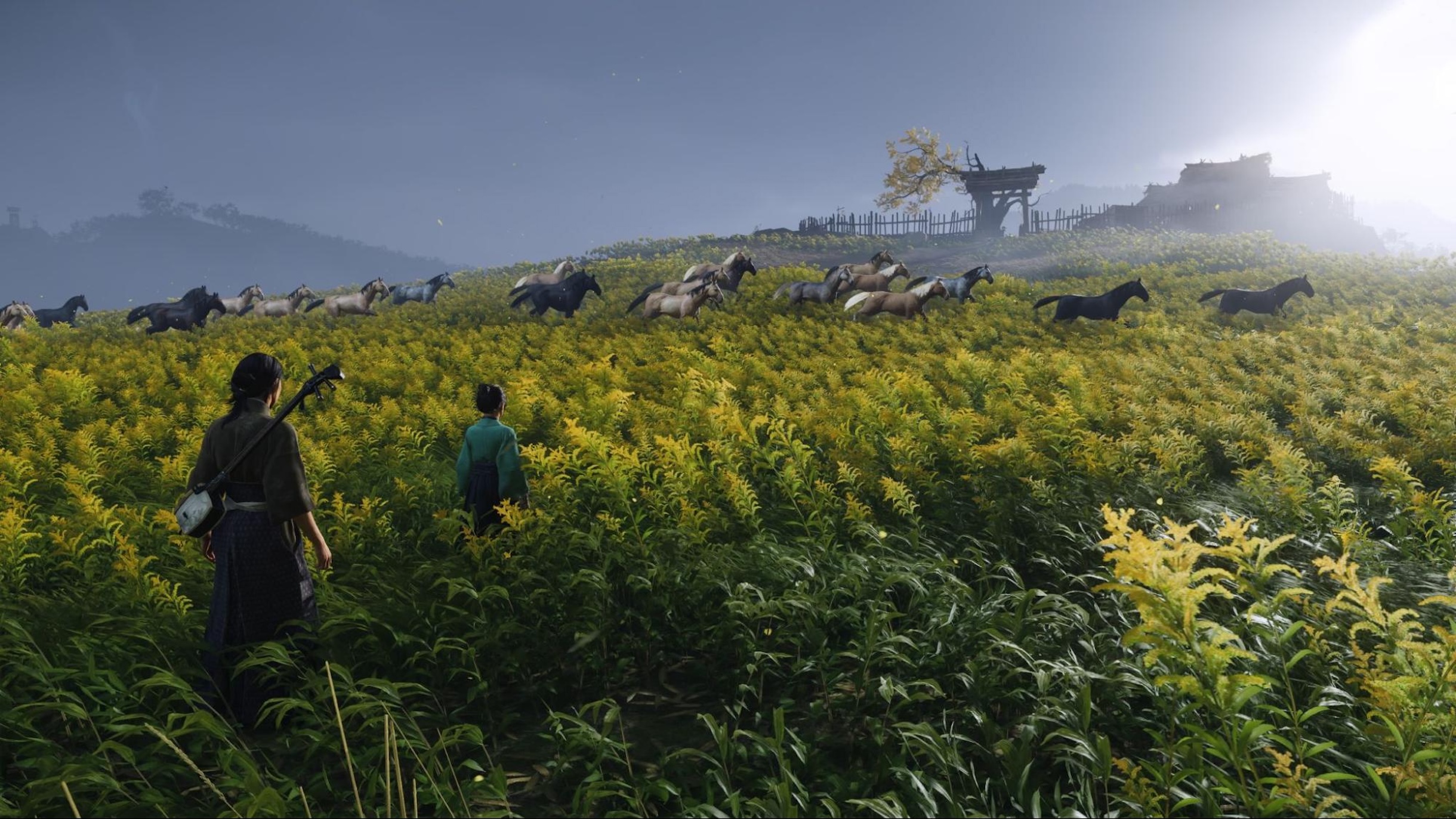 Природа проявляет себя всегда, когда может. Пусть даже и табуном лошадей