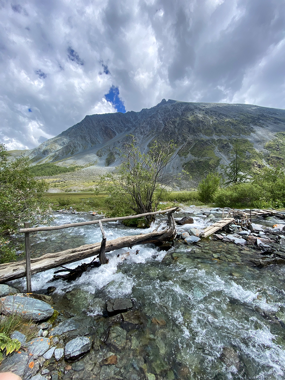 Любая река или ручеек на Алтае — водопой. Вкуснее воды не пила