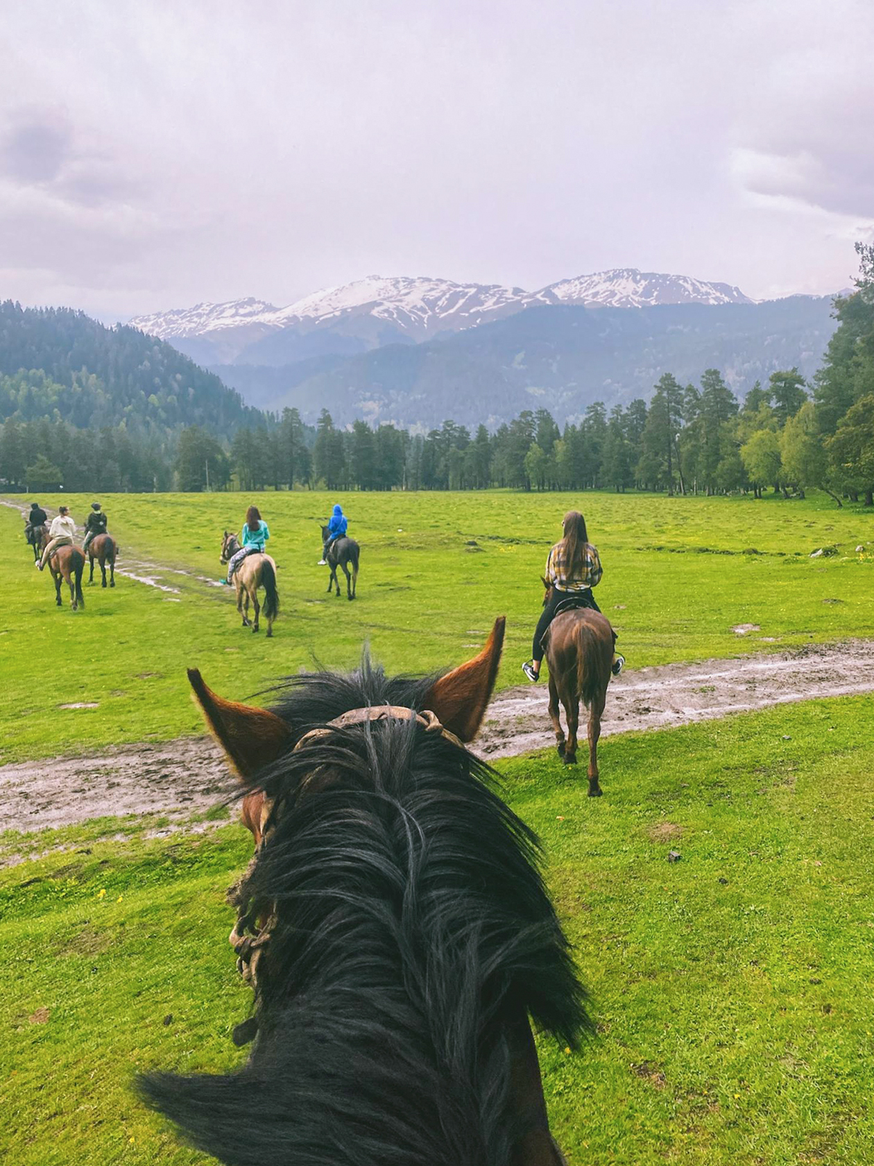 Популярное развлечение в Архызе — конные прогулки. Лошади дорогу знают лучше и сами выбирают конкретную тропинку