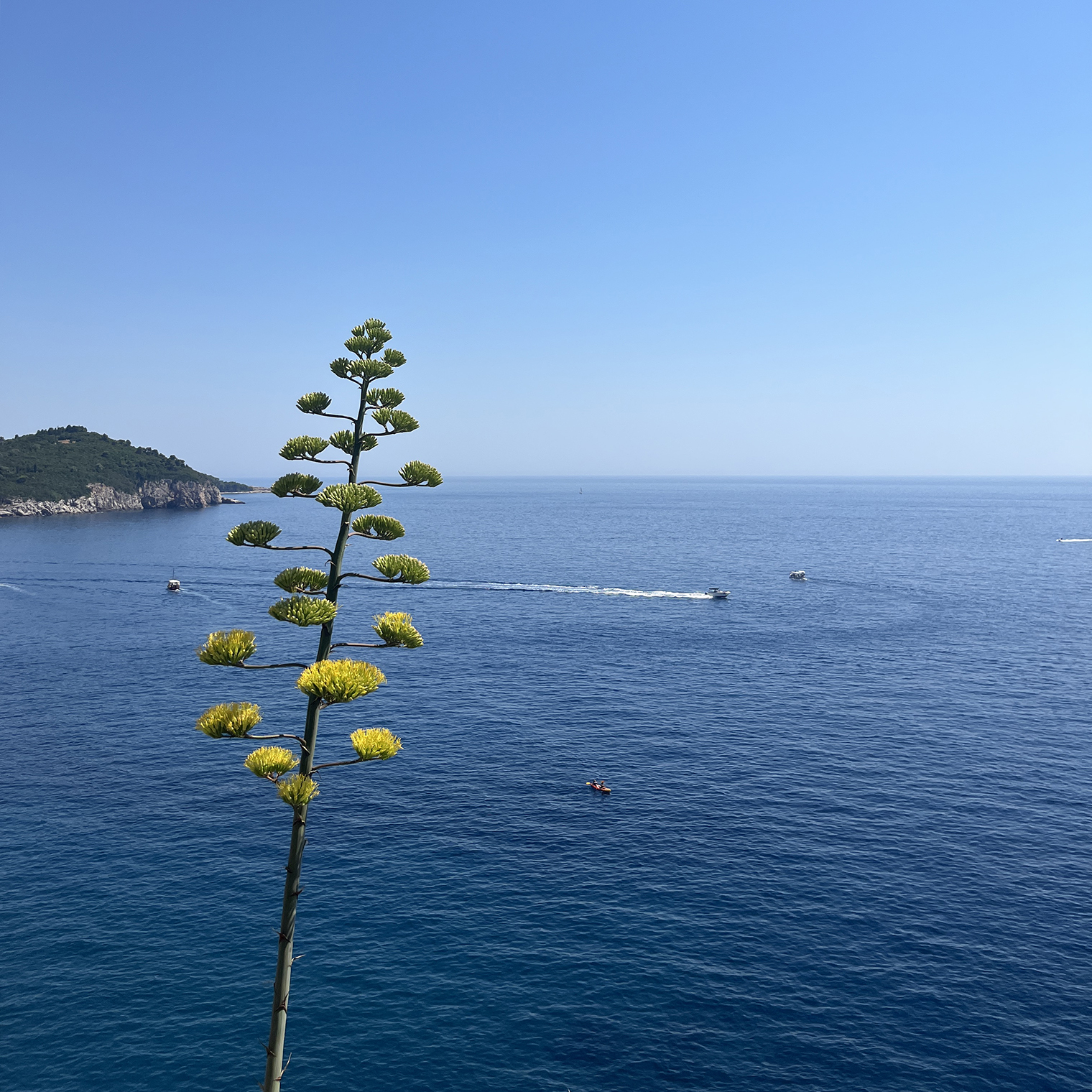 Голубизна Адриатического моря удивила, восхитила и заворожила меня