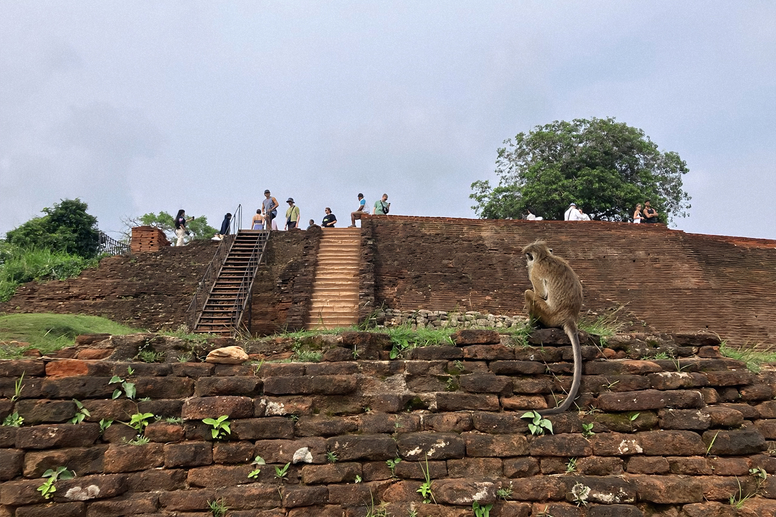 На вершине Сигирии находятся руины дворца-крепости. Нам выделили 15—20 минут на осмотр, и этого времени вполне хватило