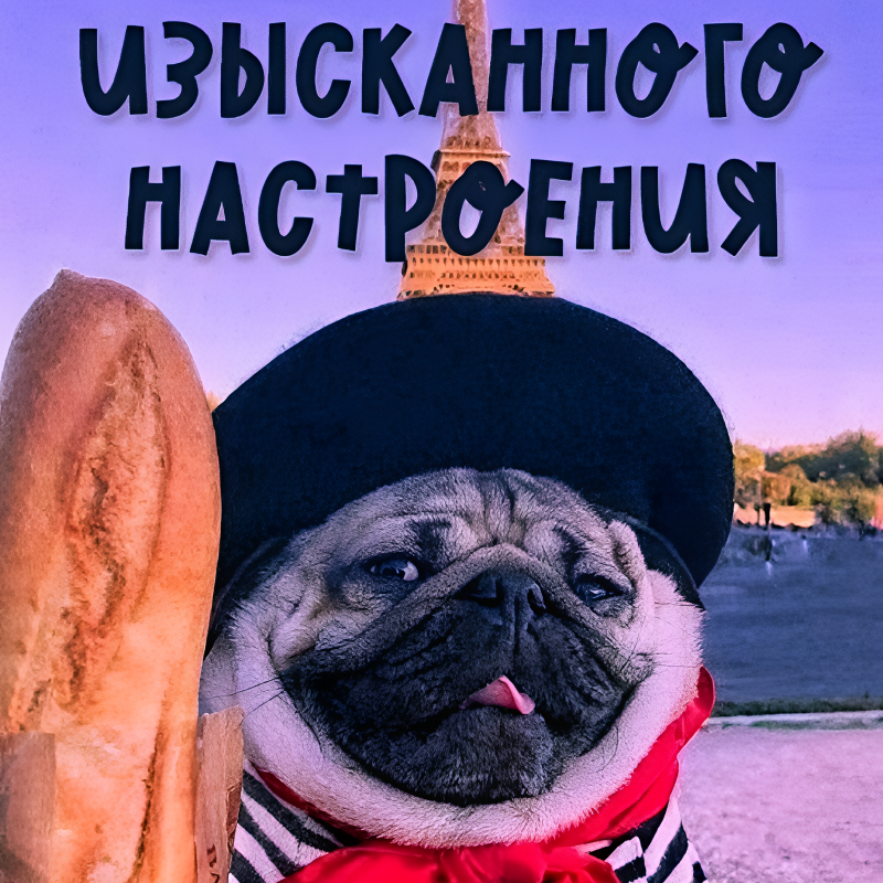 Мопс-француз