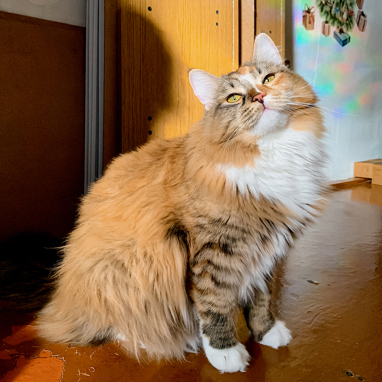 Масяня радуется солнышку