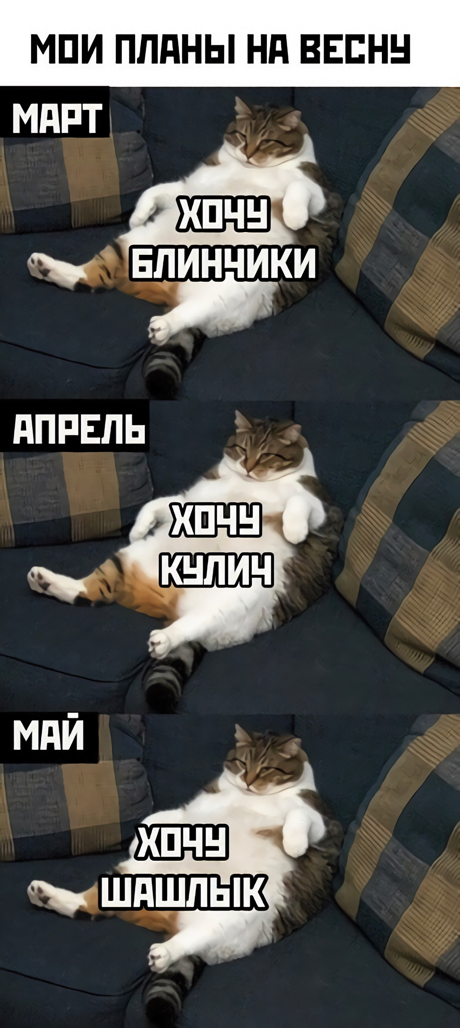 15-spring-memes-03.png?preset=image_760w_2x