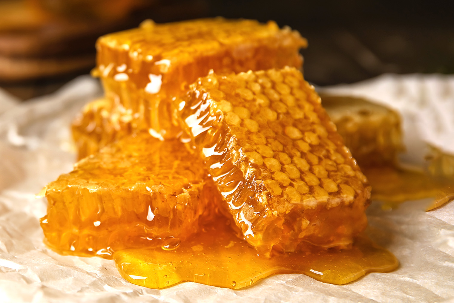 Фотография: Pixel-Shot / Shutterstock / FOTODOM