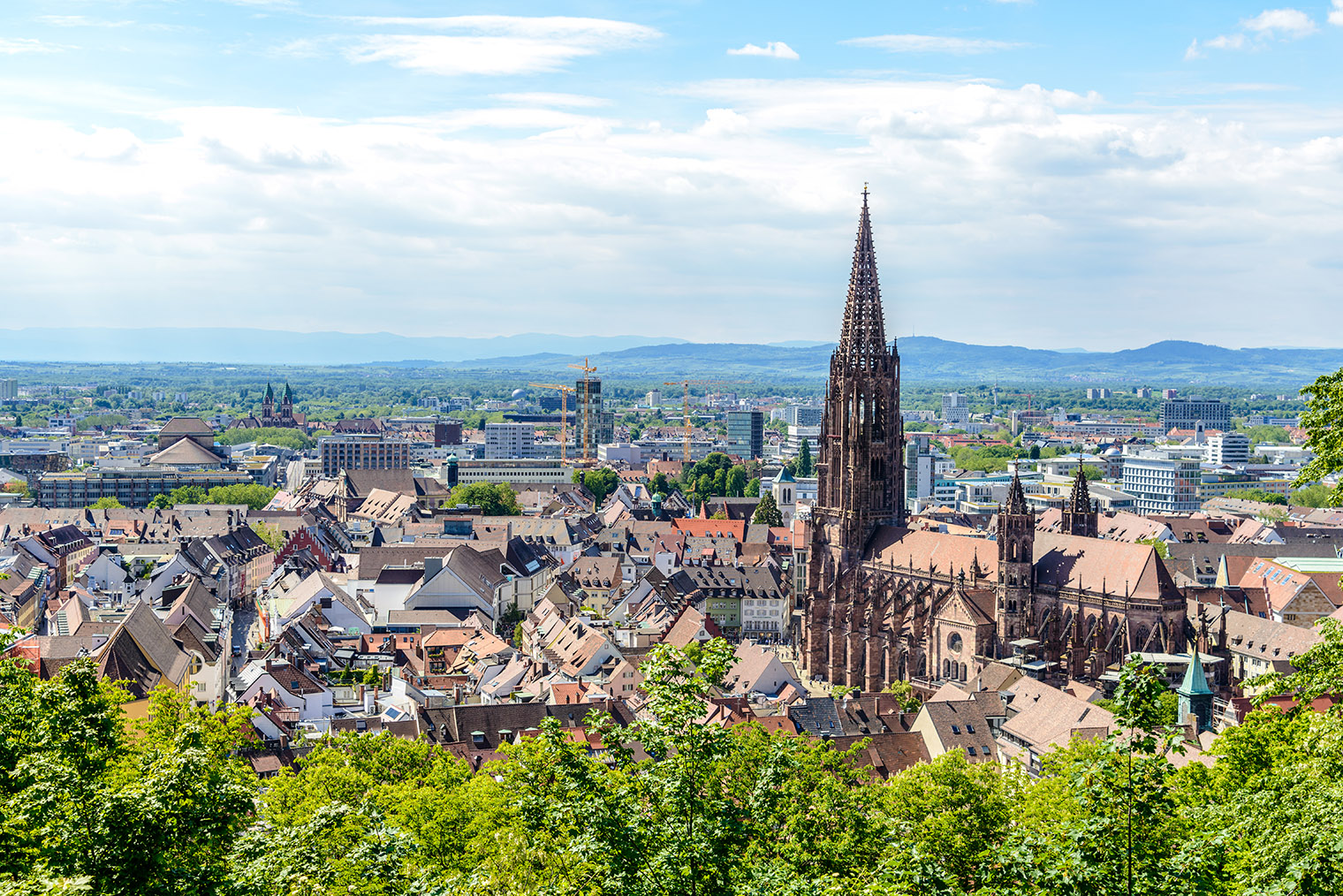 Вид на Фрайбургский кафедральный собор и долину Рейна. © Mikalai Nick Zastsenski / Shutterstock / FOTODOM