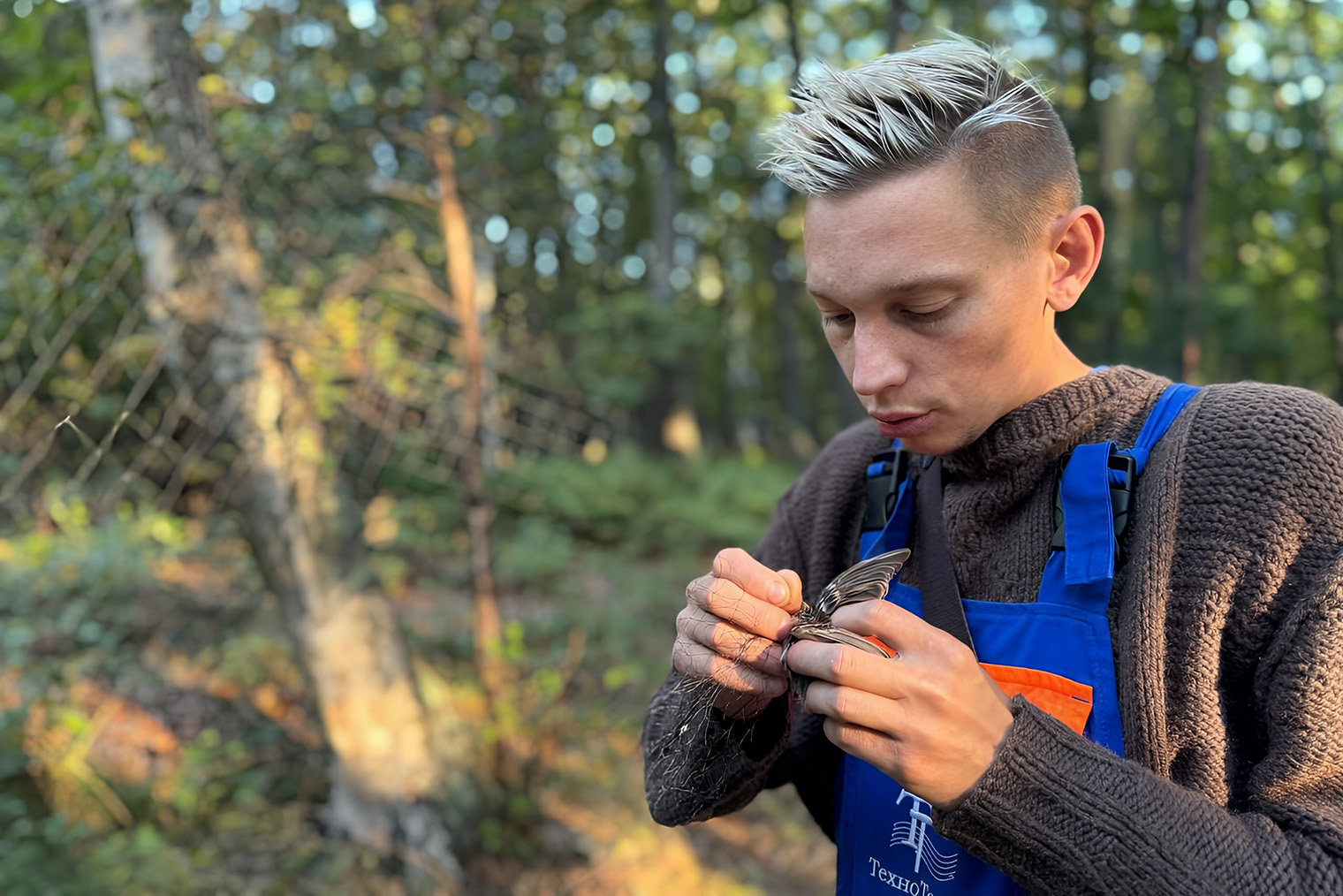 Кольцевание птиц возобновилось в заповеднике в 2025 году. © Сообщество в vk.com