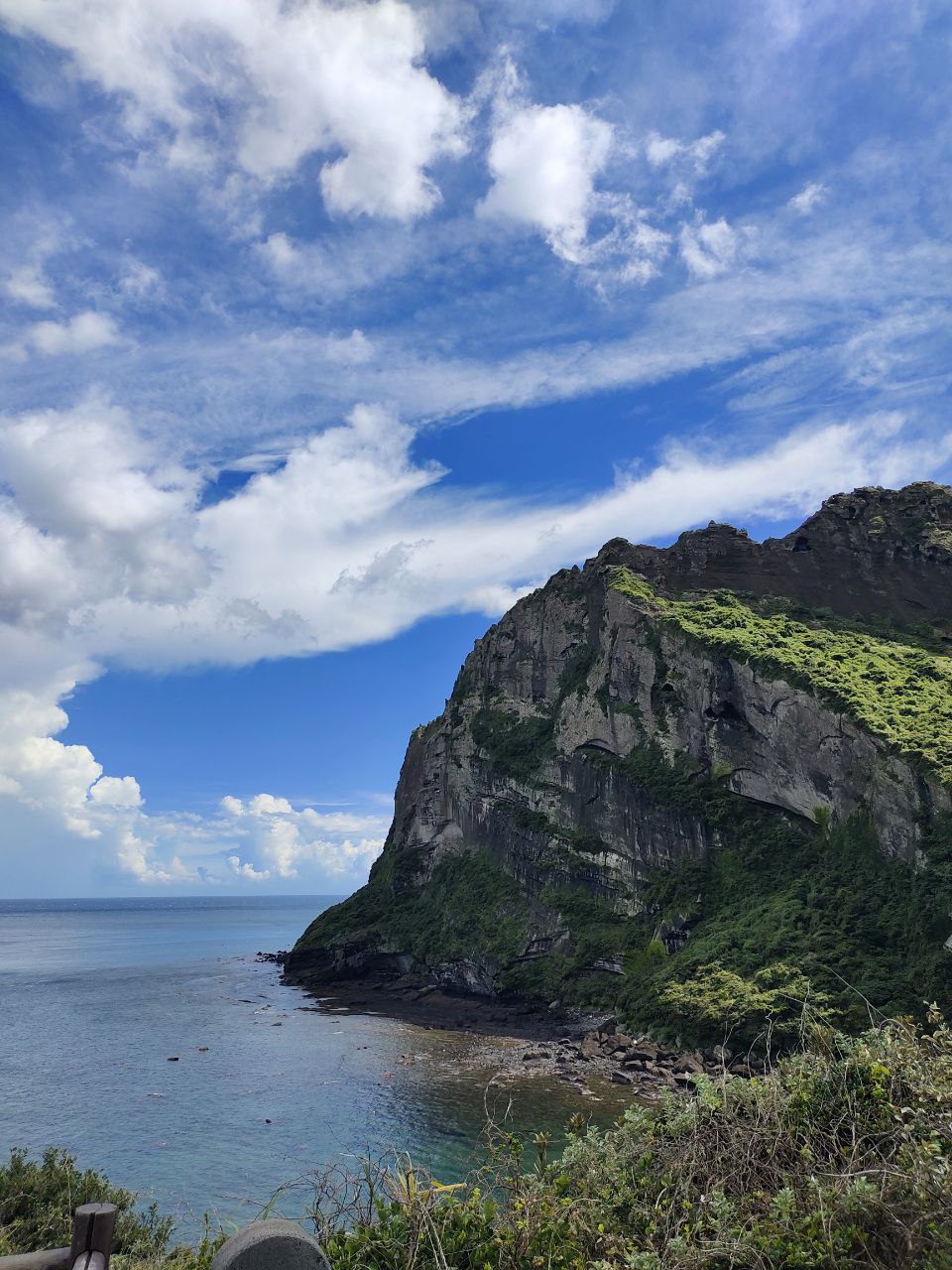 Фотографии года