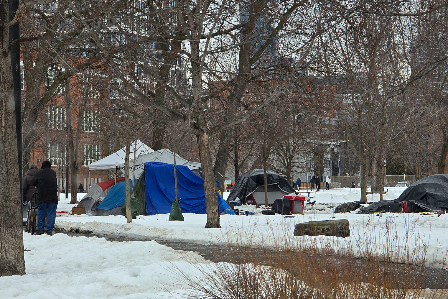 Торонто начало активно убирать палатки из парков. За 2025 год очистили более 40 парков, распределив их обитателей по шелтерам — приютам для бездомных