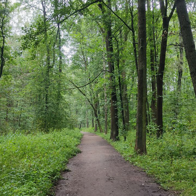 Идем на электричку