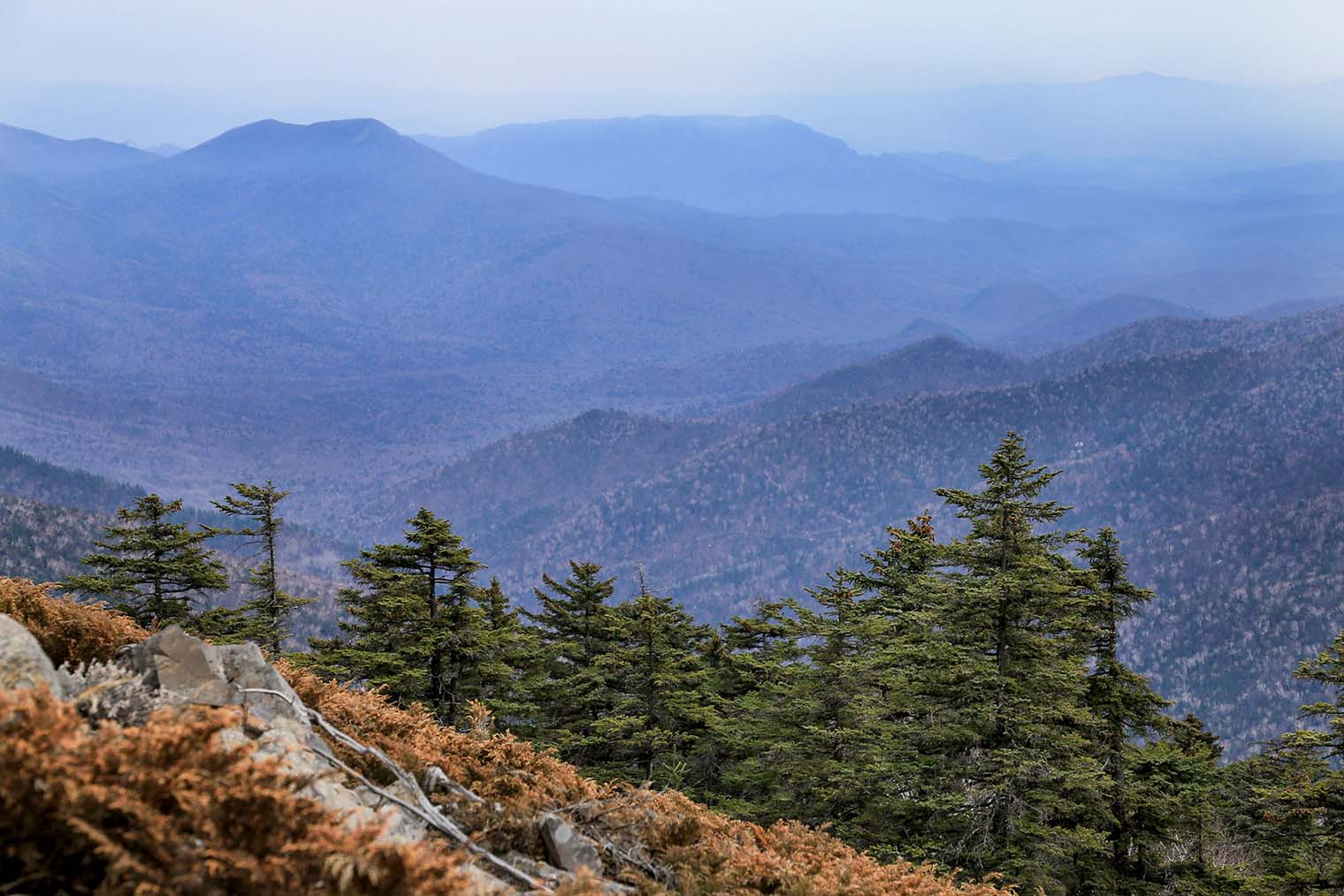 © Римма Тельнова / Лори