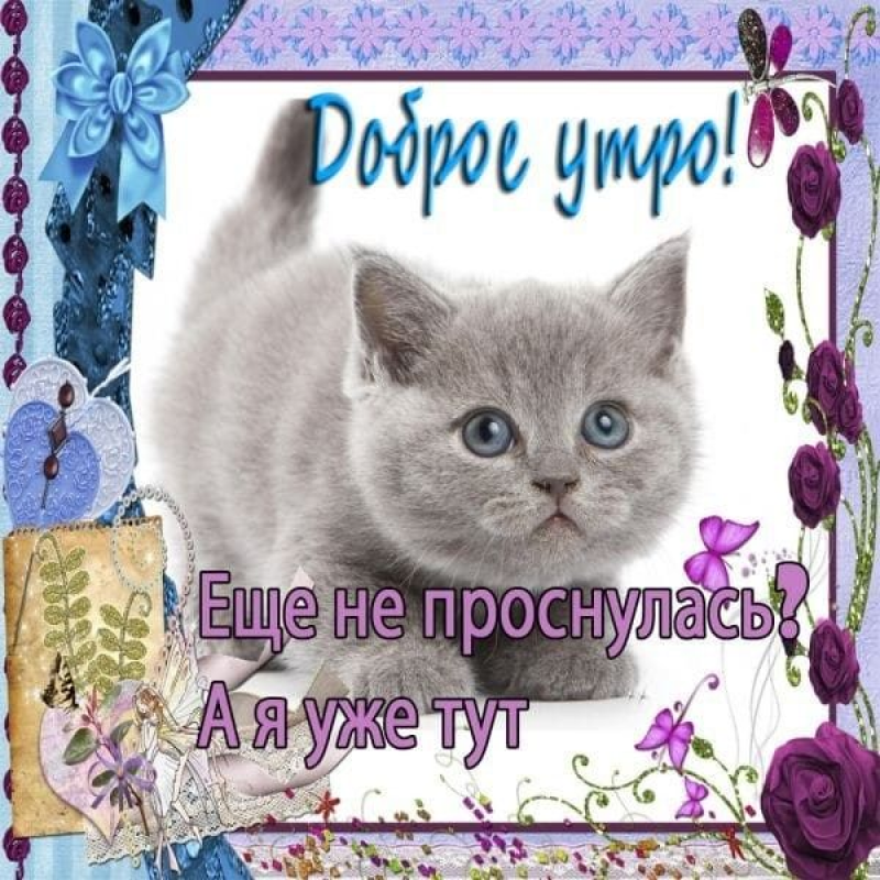 Выжидала