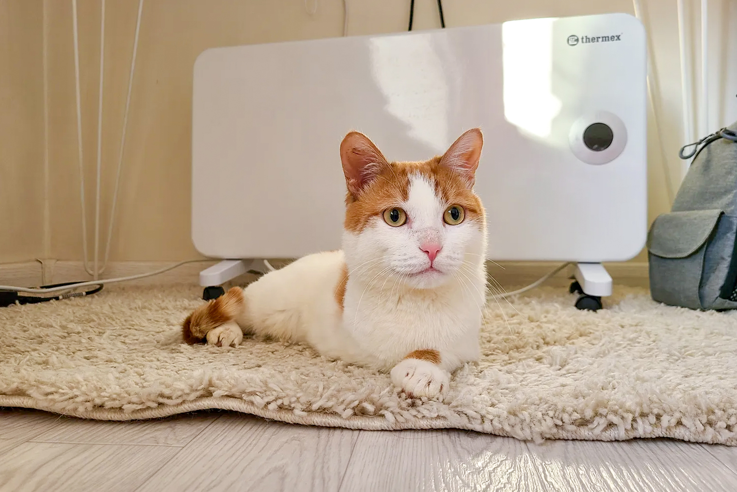 Благодаря вниманию и заботе Персик расцвел