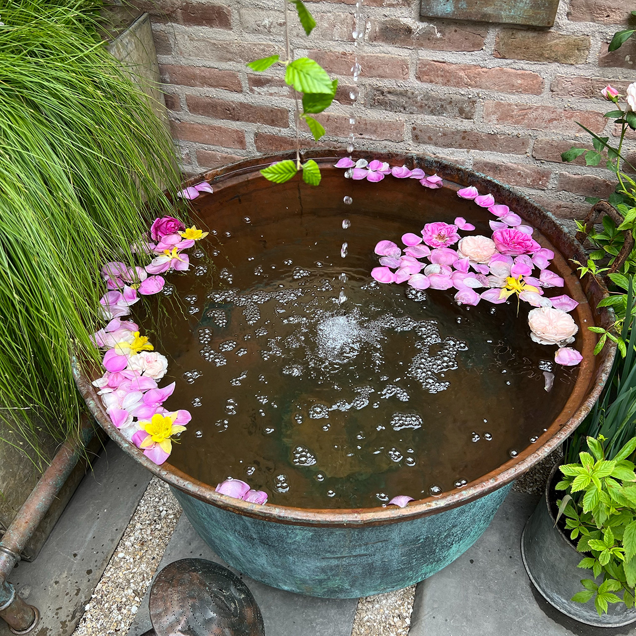 Такой водоем есть у каждого второго, разве что без цветов. © iPlantsman / Shutterstock / FOTODOM
