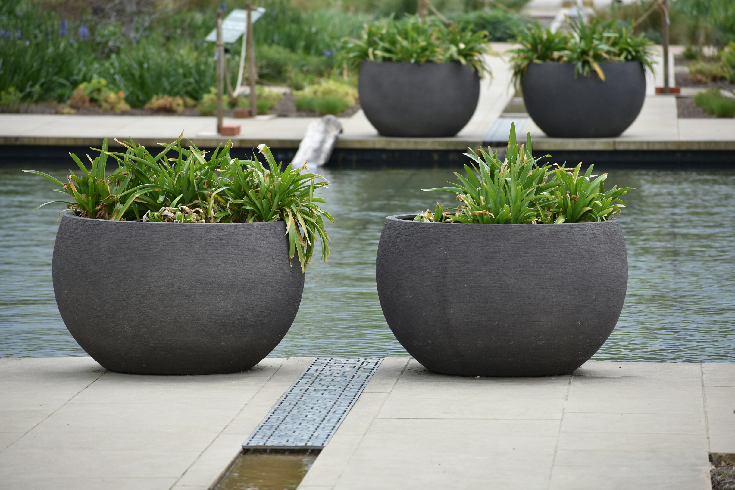 Простые бетонные, каменные или глиняные вазоны в минималистичном саду будут смотреться очень органично. Цветочное оформление в них тоже должно быть спокойным и монохромным. Фотография: Andrew Hall / Unsplash