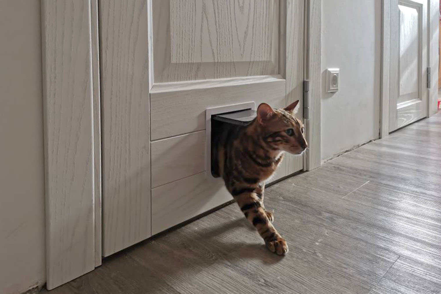 Дверца в двери для кота открывается в обе стороны. При желании ее можно блокировать, и она будет открываться только в одну сторону. Благодаря такому лазу можно дверь в санузел всегда закрывать