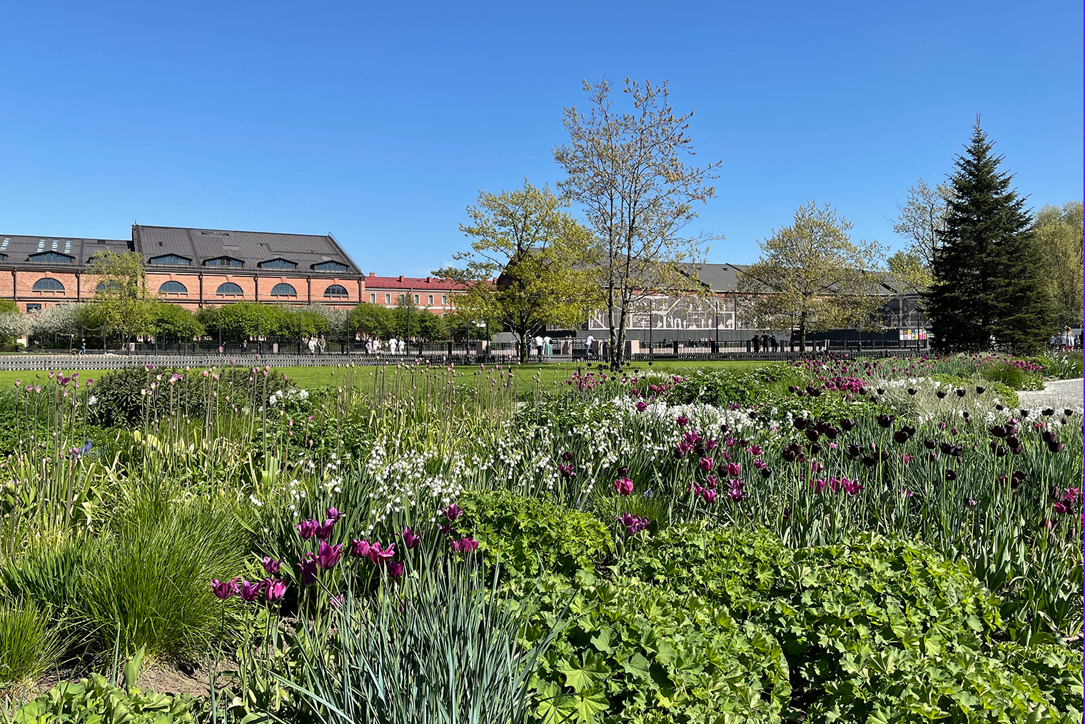 Растения в Травяном саду меняются в зависимости от сезона. © Мария Кузнецова