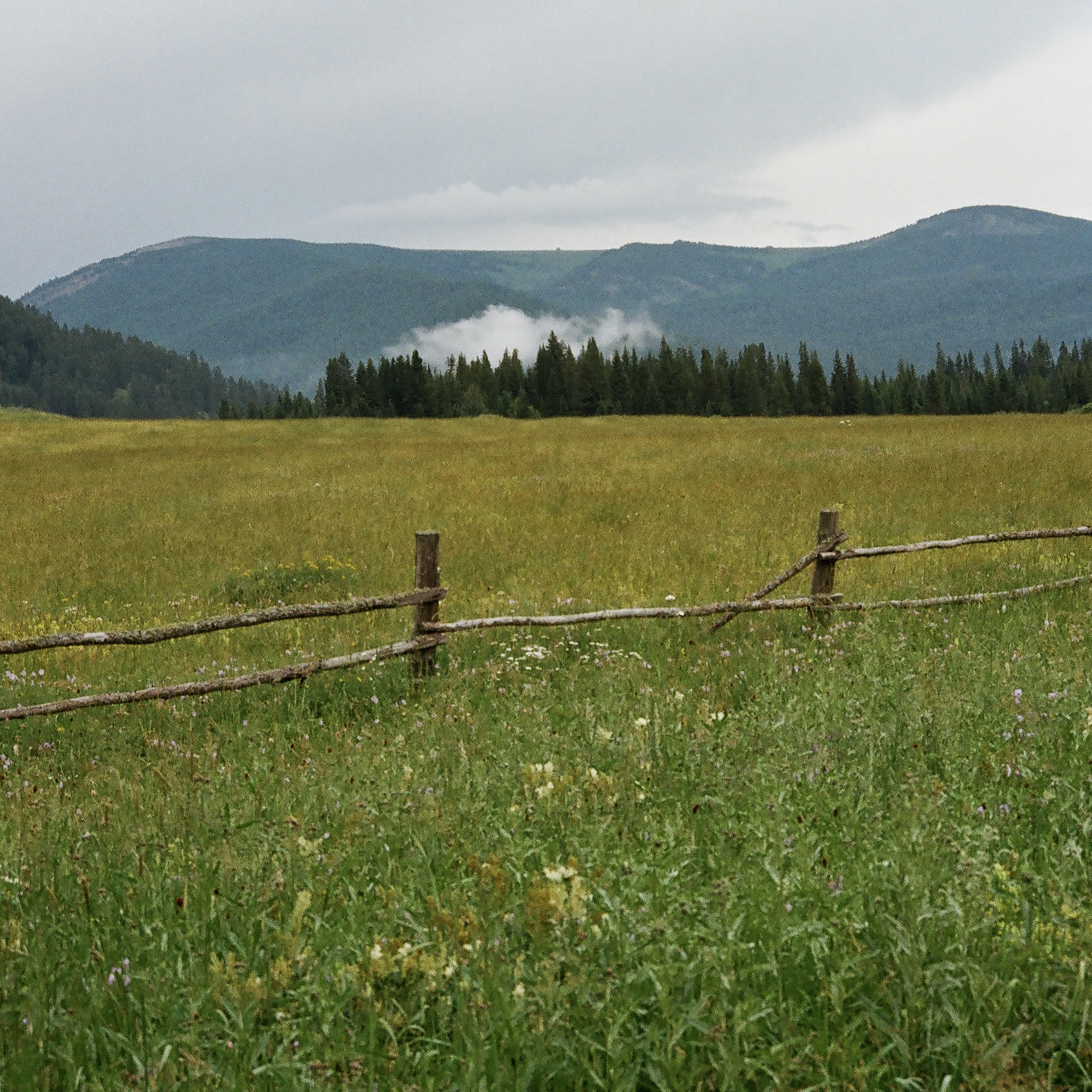 Горы и луга вдоль Чуйского тракта. Кажется, что панорама почти не меняется, но чем дальше от Горно-Алтайска, тем выше хребты и меньше привычных инфраструктурных благ. Ближе к монгольской границе ландшафт меняется на степной
