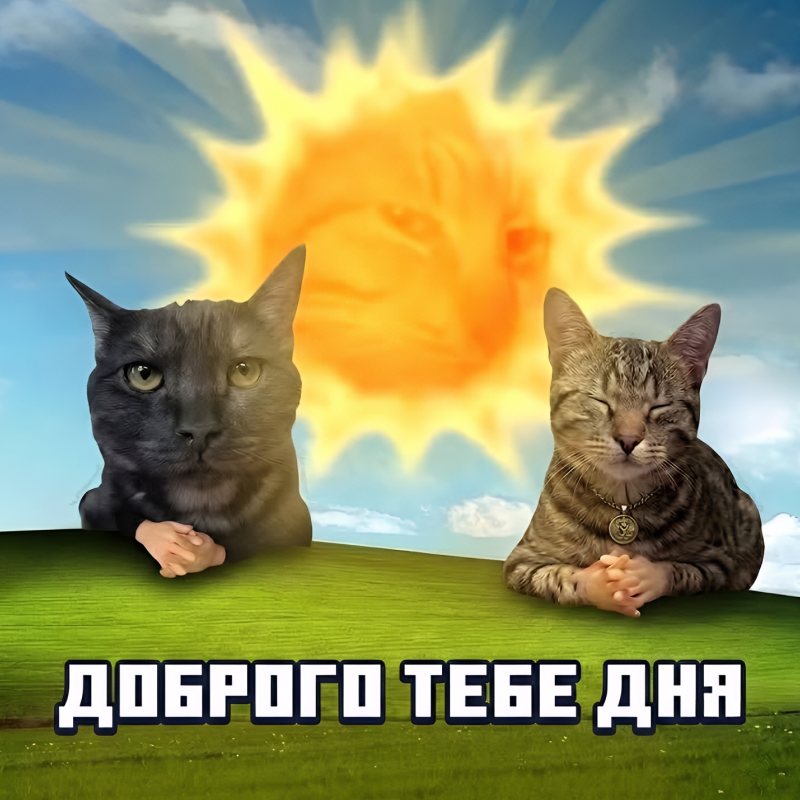 Долина котов