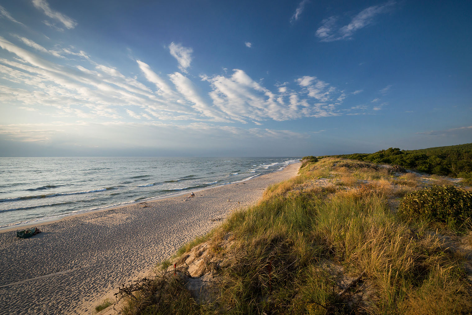 Пляж неподалеку от дюны Эфа. Фотография: Vladislav Mikhailov / Shutterstock / FOTODOM