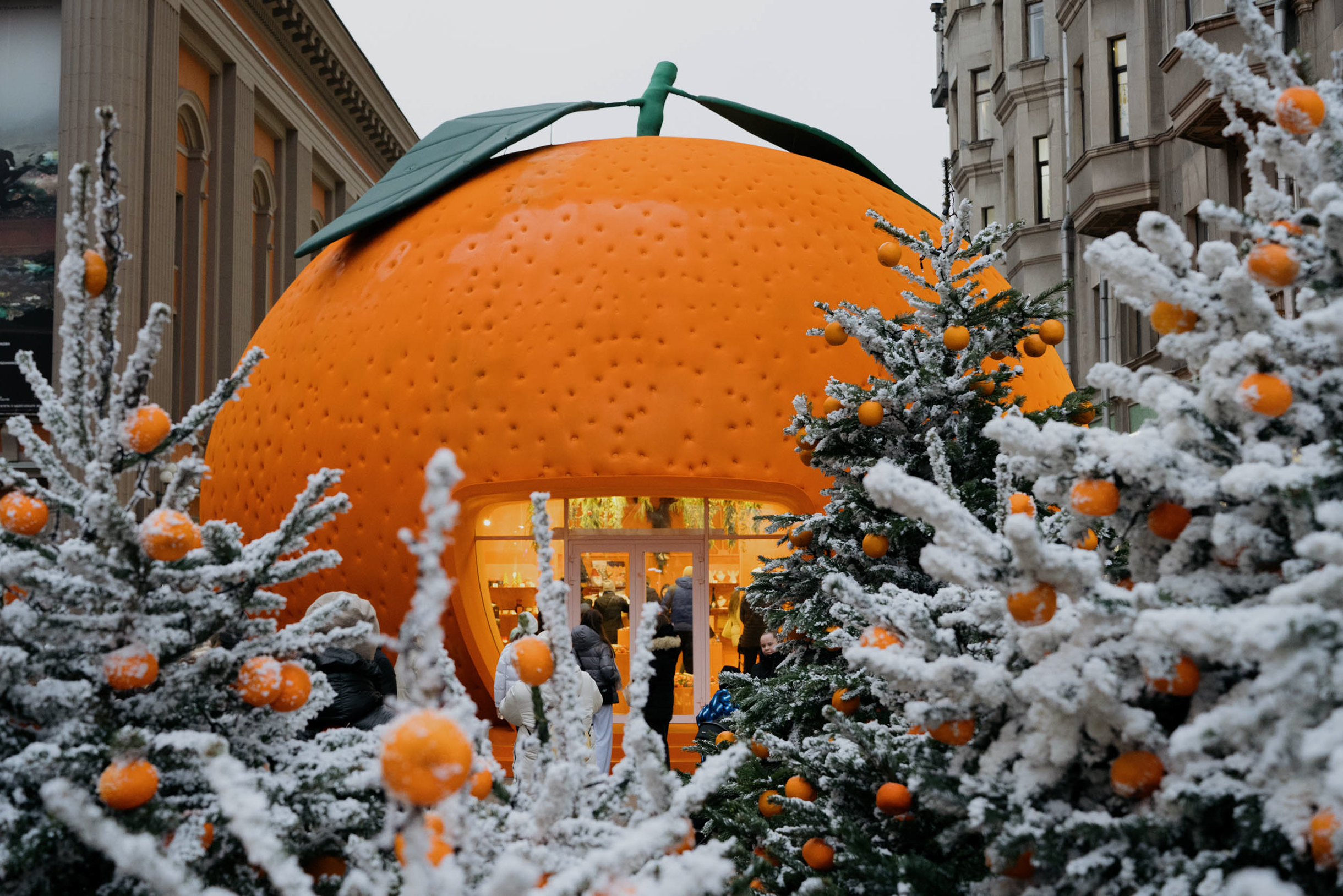 Павильон окружают елки, на которых висят манадарины