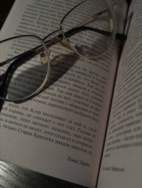 Цитата из книги В краю лесов Томаса Гарди.