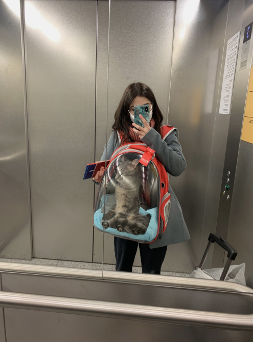 Так выглядит переноска-рюкзак с «Авито», она помещалась под сиденье в самолете