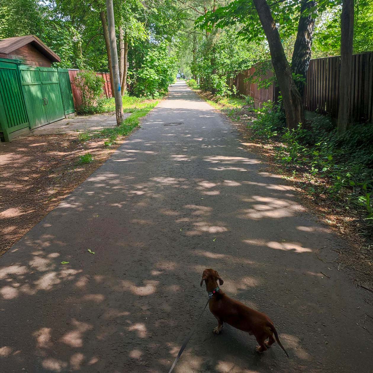 На прогулке