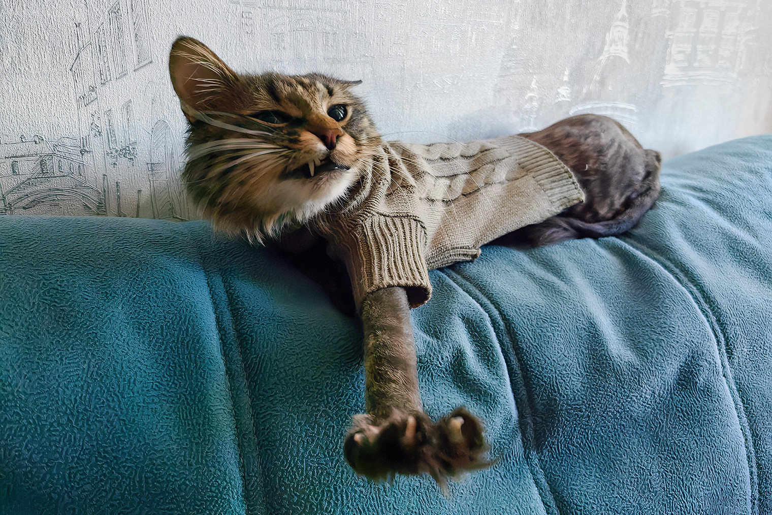 Доказательство харизмы Мони