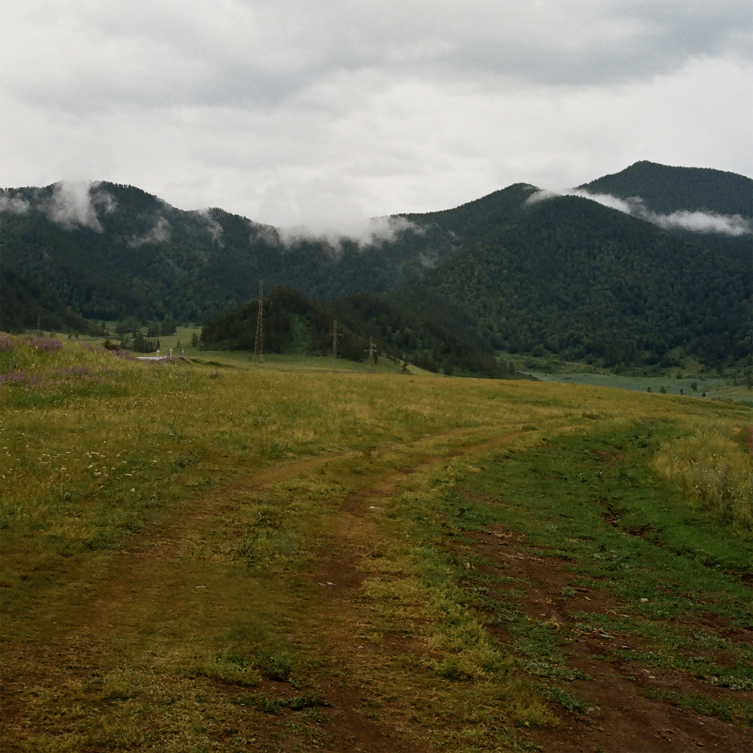 Остановились, чтобы размять ноги, а тут такие виды
